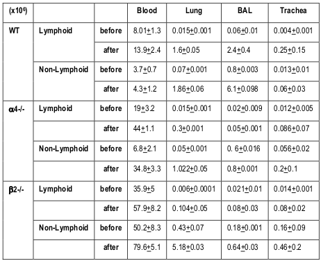 Table 1
Values represent total number of different cells and their subsets migrated from bone marrow (BM) via circulation that is peripheral blood (PB) to lung parenchyma (LP) and interstitium (bronchoalveolar lavage fluid- BALf)